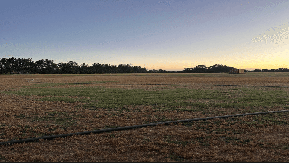 Volver a Casa: Empieza el 2026 del Club